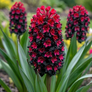 Гиацинт Джем Стоун купить по цене от 2099р. в интернет-магазине «Посадика» с доставкой почтой в в Козьмодемьянске и по всей России – [изображение №1].