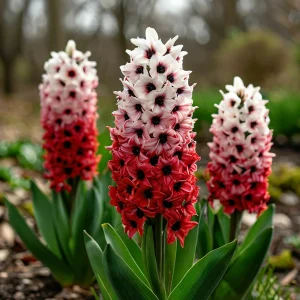 Гиацинт Скай Гарден купить по цене от 2099р. в интернет-магазине «Посадика» с доставкой почтой в в Козьмодемьянске и по всей России – [изображение №1].